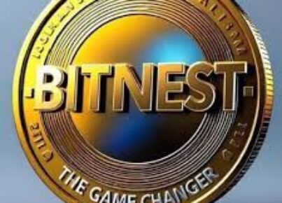 BitNest img01